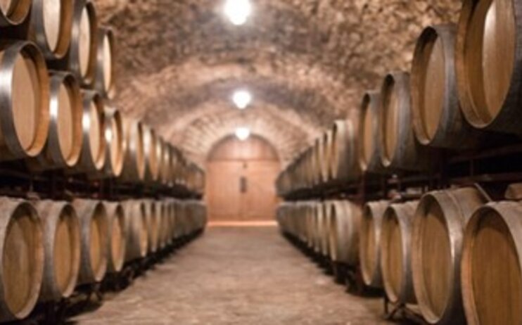 Visita Cantina - 10 maggio 2025