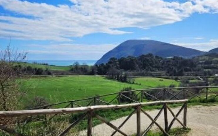 Camminata nel Verde - 17 maggio 2025